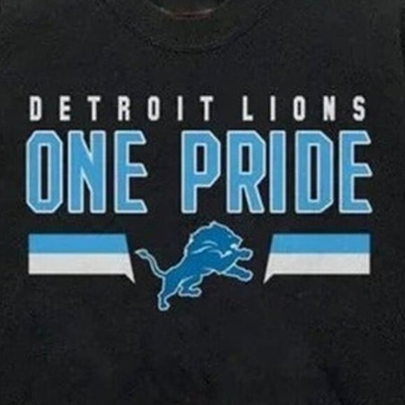 Detroit Lions One Pride Sweatshirt Retro NFL Crewneck Football Fan Gift 79 - Picture 2 of 5